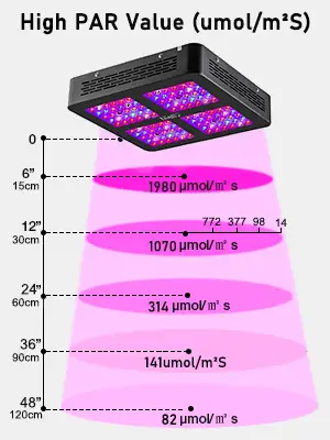 Buy LED lamp for plants Niello 600w in Kyiv Ukraine